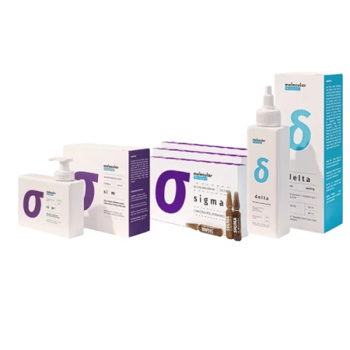 sigma_box-600x600.webp