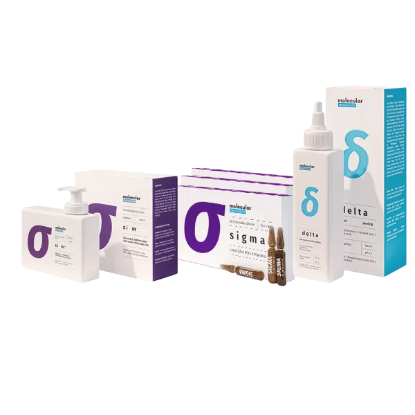 sigma_box-600x600.webp