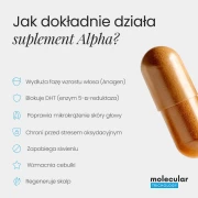 suplement-alpha.webp